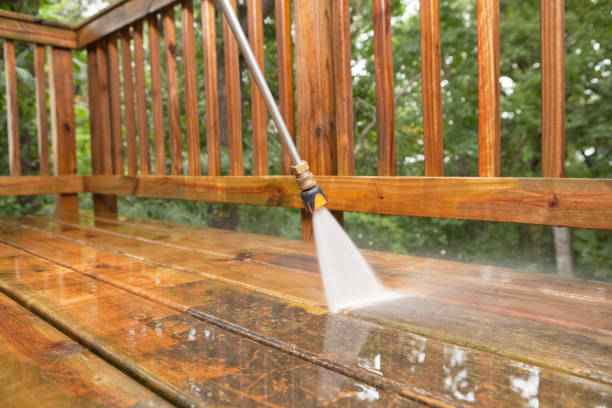 Best Warehouse Cleaning  in Elmore, OH